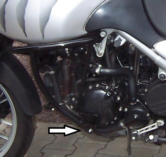 Benutzer eigenes Bild