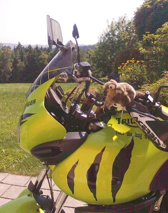 Benutzer eigenes Bild